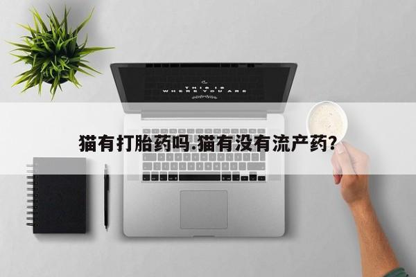购买米非司酮片的联系方式猫有打胎药吗.猫有没有流产药？