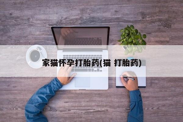 购买米非司酮片的联系方式家猫怀孕打胎药(猫 打胎药)